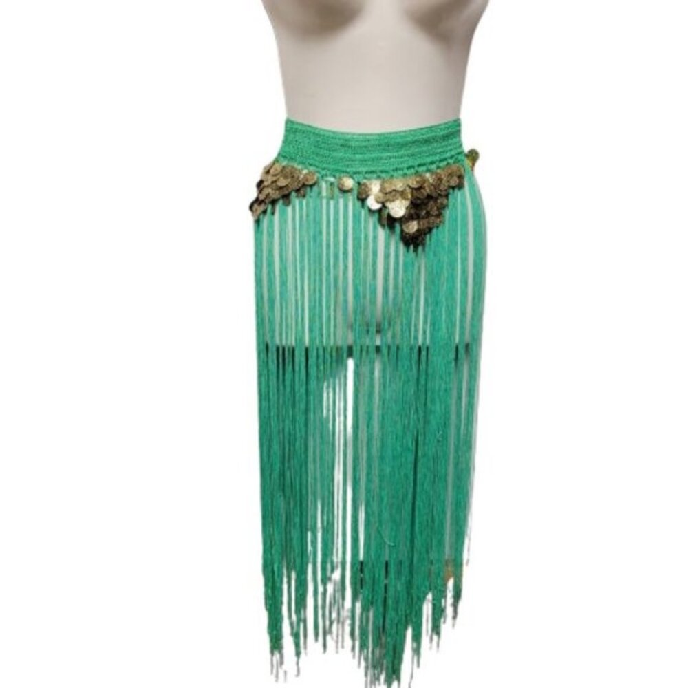 Hip Skirt Belly Dance Tassels Fringe Skirt Bellydance Coins and Fringe Hip Scarf - Picture 10 of 14